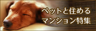 ペットと住めるマンション特集